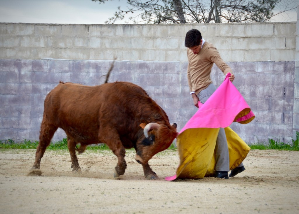 elrafi_tienta_San_Sebastian