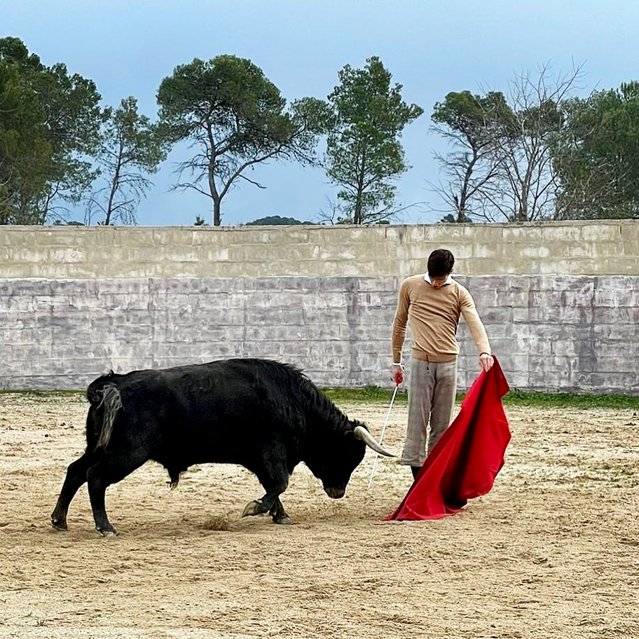 elrafi_ganaderia_San_Sebastian