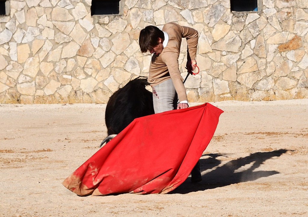 Rafi_tienta_Bañuelos