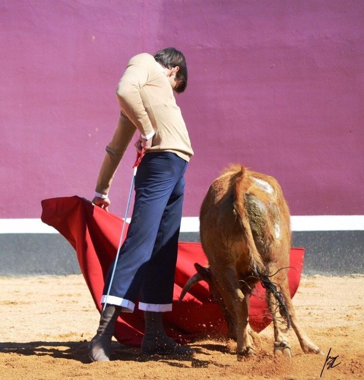 Rafi_tienta_Pedraza_de_Yeltes