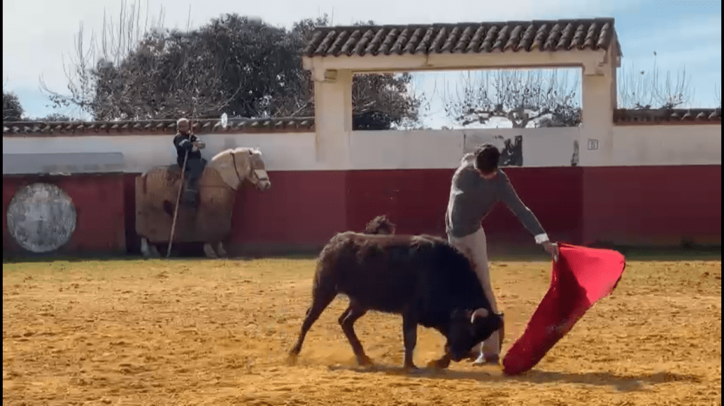 Rafi_tienta_Juan_Manuel_Criado