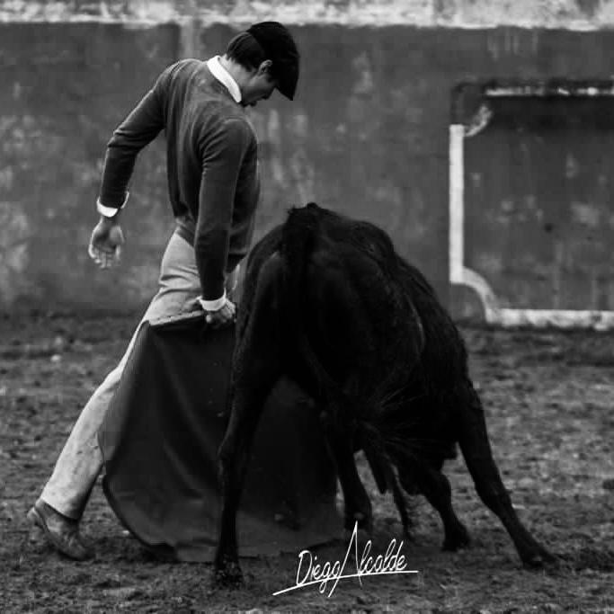 elrafi_ganaderia_el_Madroñal