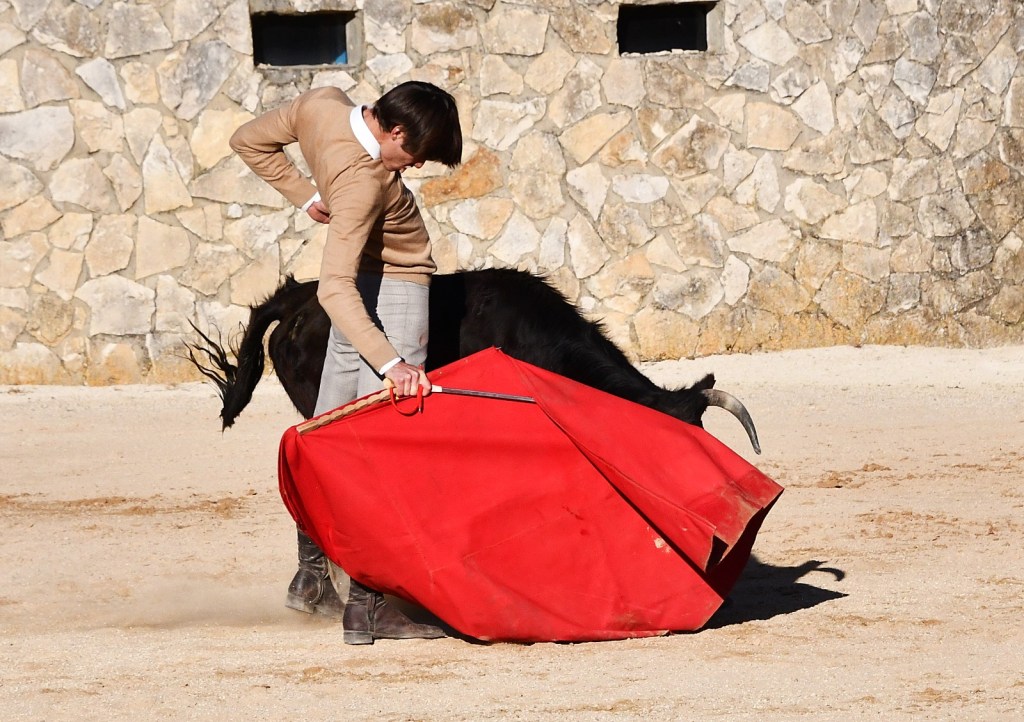 Rafi_tienta_Antonio_Bañuelos