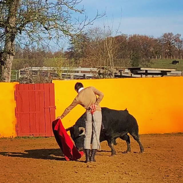 elrafi_Camino_de_Santiago